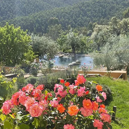 Oda ve Kahvaltı Quinta Riquezas