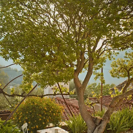 Quinta Riquezas