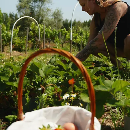 Quinta Riquezas Дорнеш