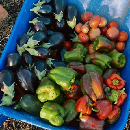 Quinta Riquezas Oda ve Kahvaltı Dornes